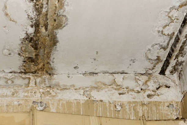 Water damage restoration insurance claims in Bridgetown, MS